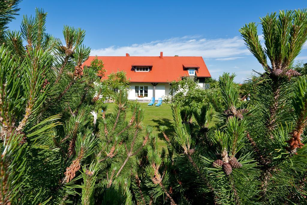 Karkles Villa - Prie Juros Экстерьер фото